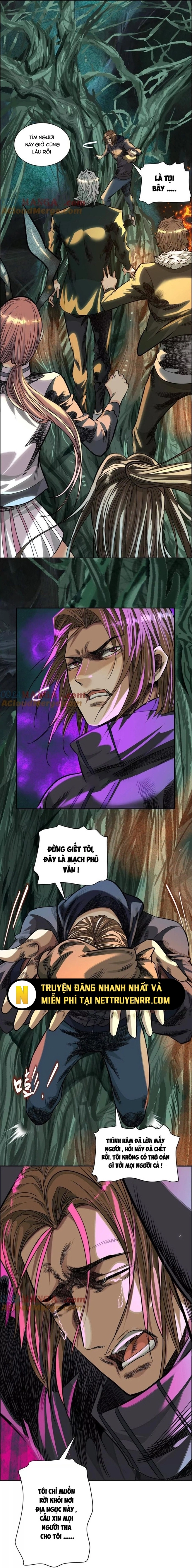 Trang 13