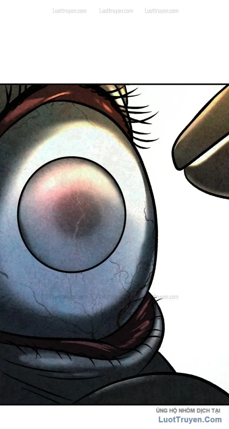 Chapter 3 - Trang 103