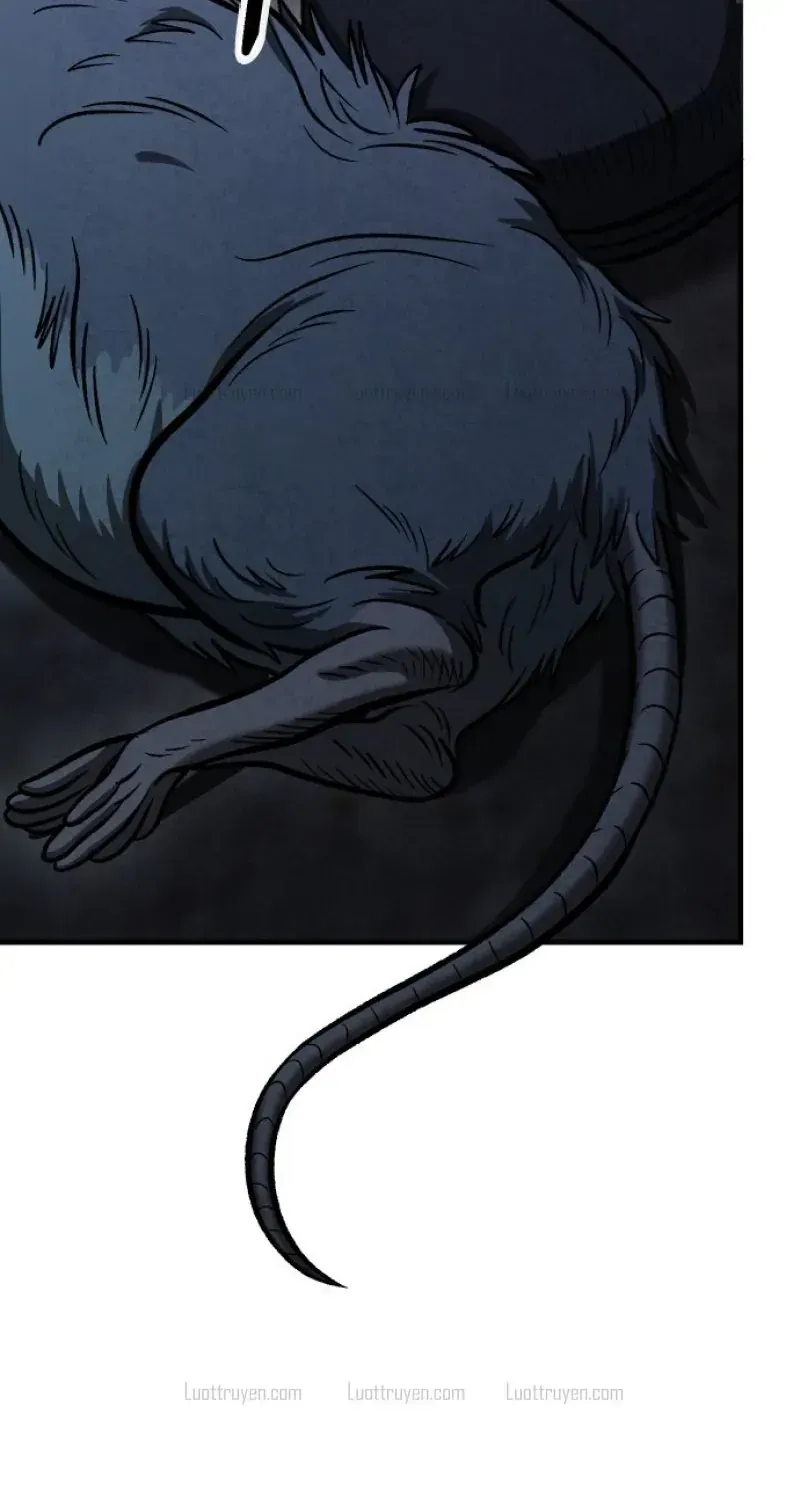 Chapter 3 - Trang 22