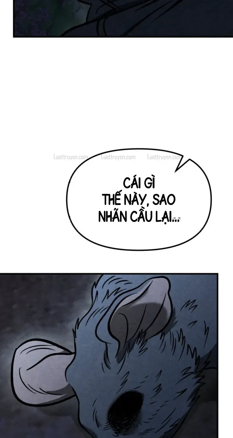 Chapter 3 - Trang 24