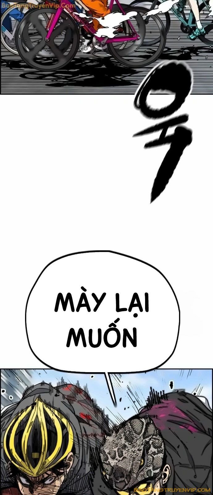 Chương 529 - Trang 21