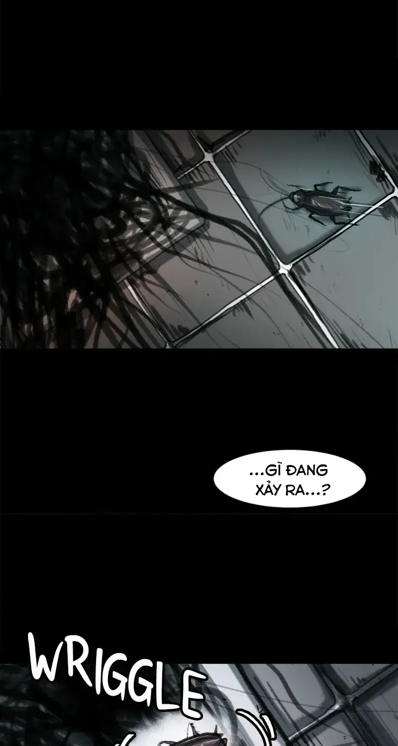 Chapter 3 - Trang 8