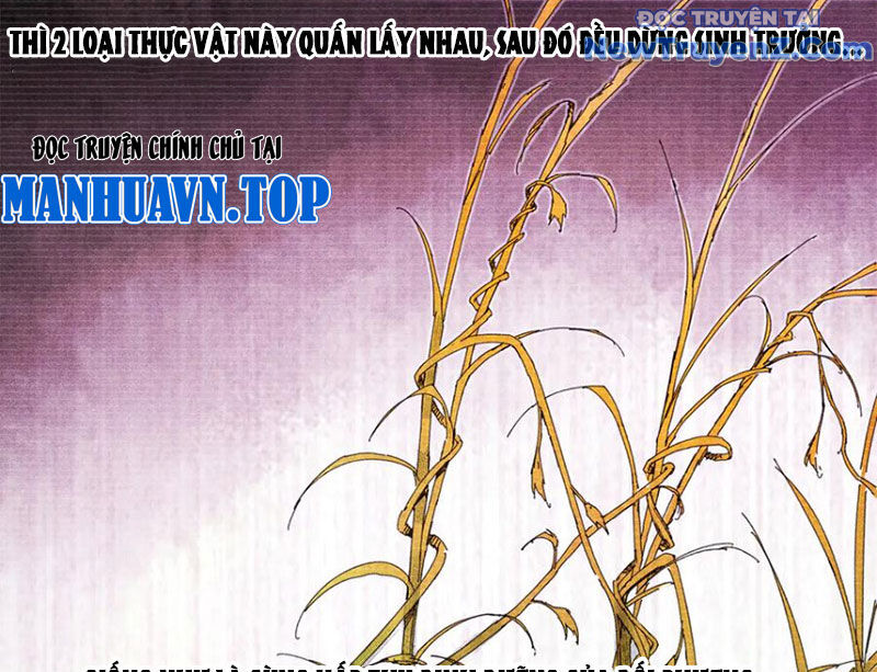Chương 125 - Trang 83