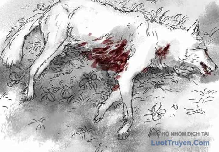 Chapter 94 - Trang 28