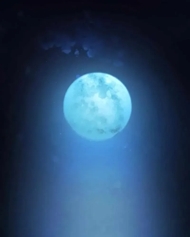 Chapter 61 - Trang 80