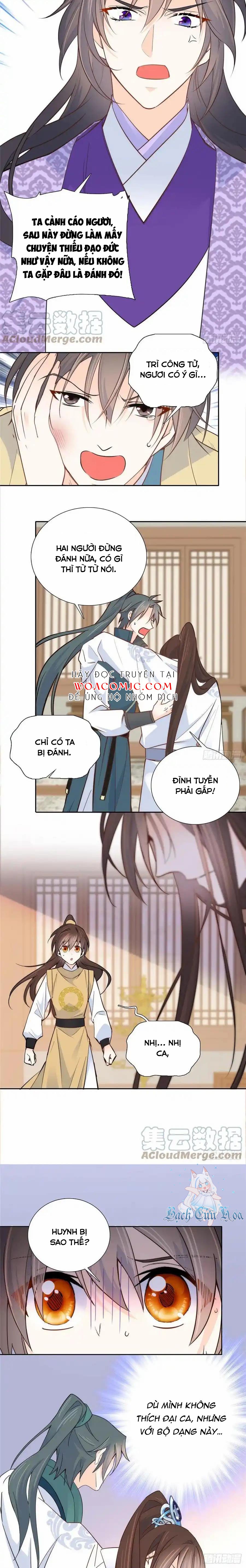 Trang 8