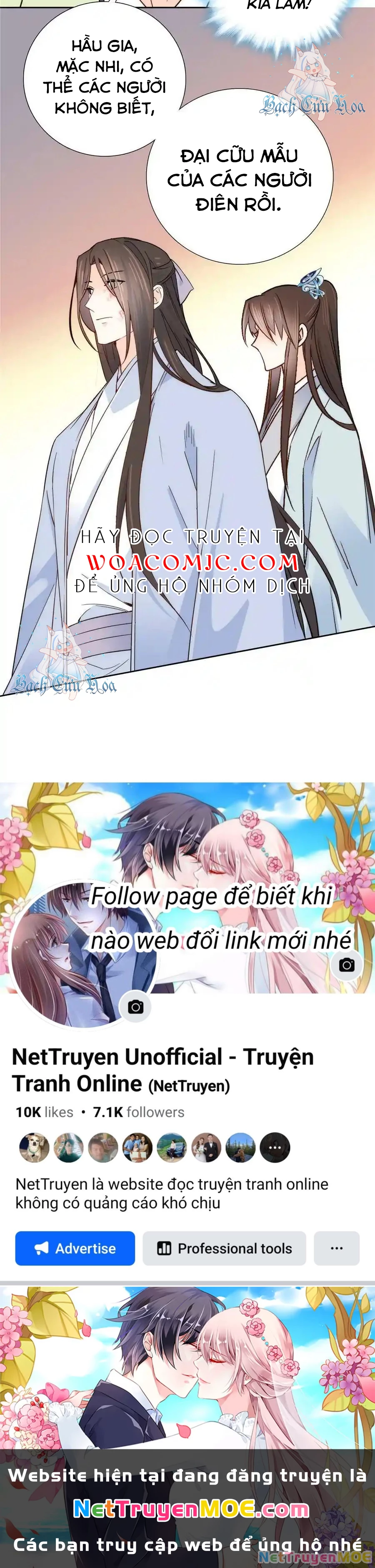 Trang 19