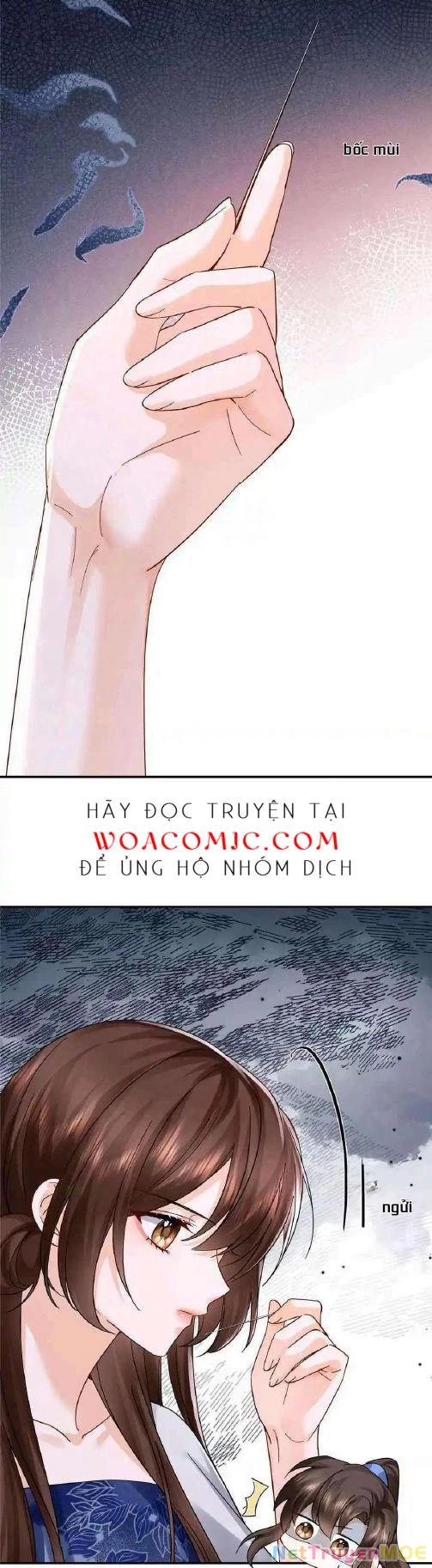Trang 8