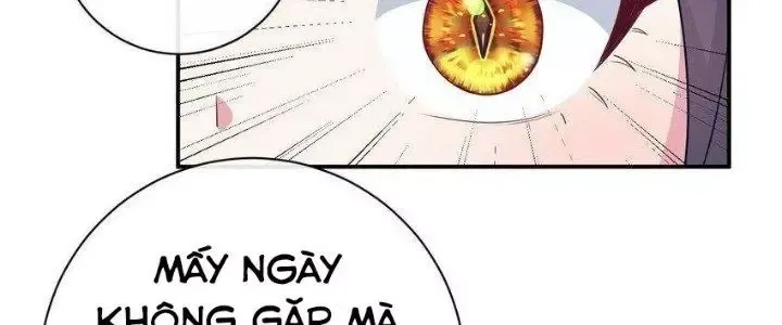 Trang 243