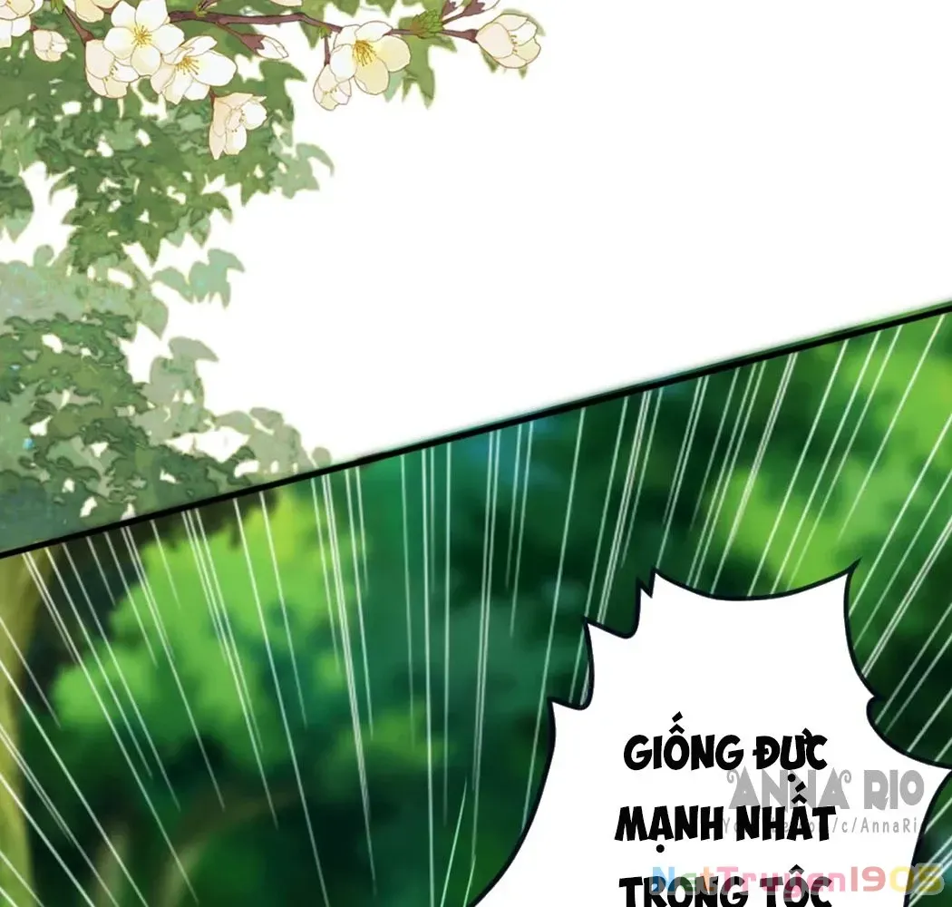 Trang 62