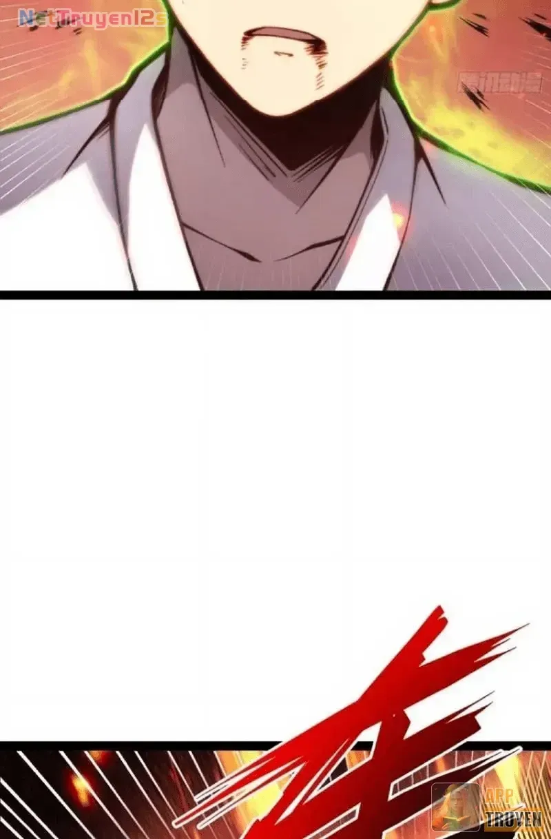 Chapter 149 - Trang 13