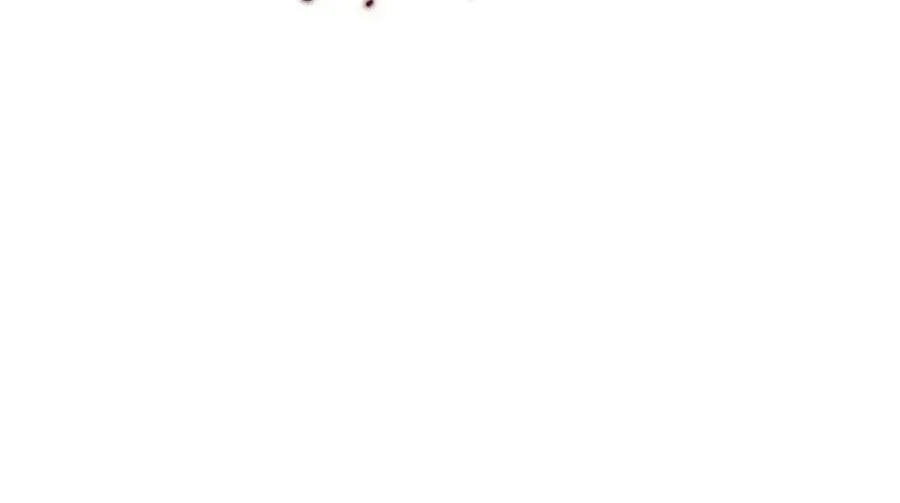 Chapter 234 - Trang 30