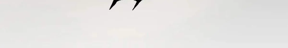 Chapter 253 - Trang 27