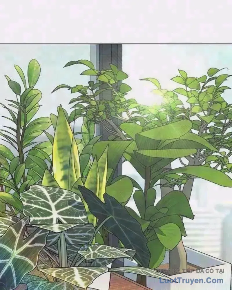 Tiểu Thiếu Gia Gia Tộc Tài Phiệt - Chap 210 - Trang 3