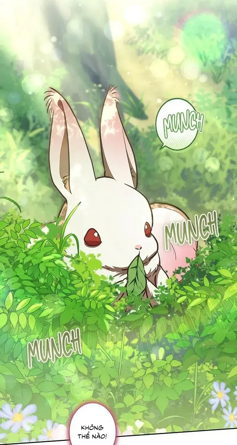Tiểu Thư Là Kẻ Bám Đuôi - Chap 41 - Trang 70