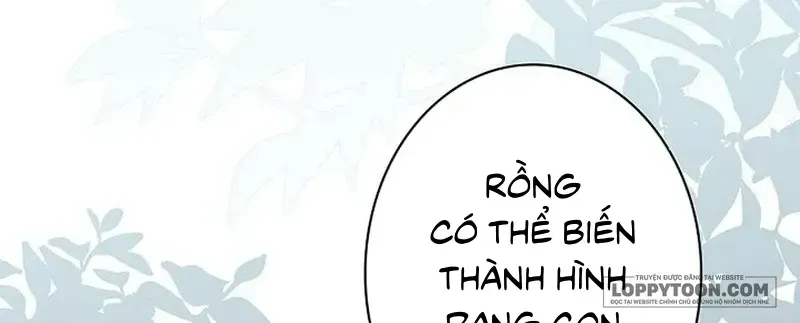 Tiểu Thư Là Kẻ Bám Đuôi - Chap 42 - Trang 22