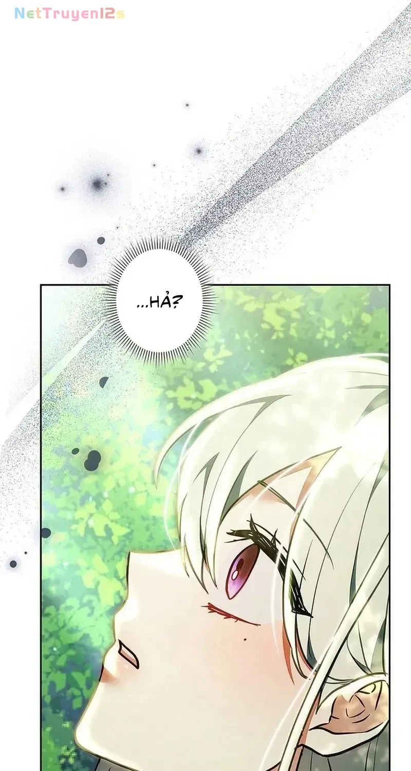 Tiểu Thư Là Kẻ Bám Đuôi - Chap 43 - Trang 27