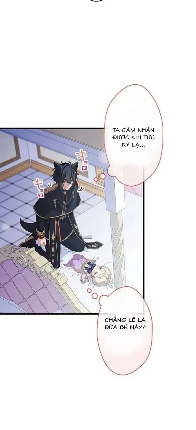Chapter 71 - Trang 7
