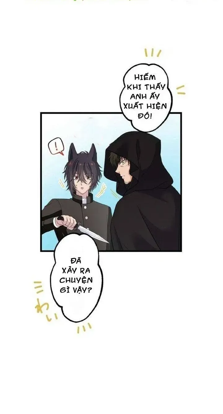 Chapter 96 - Trang 21