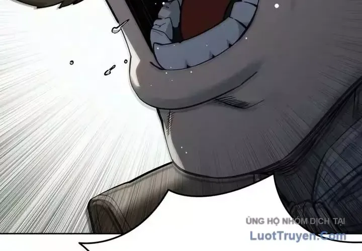 Chapter 133 - Trang 13