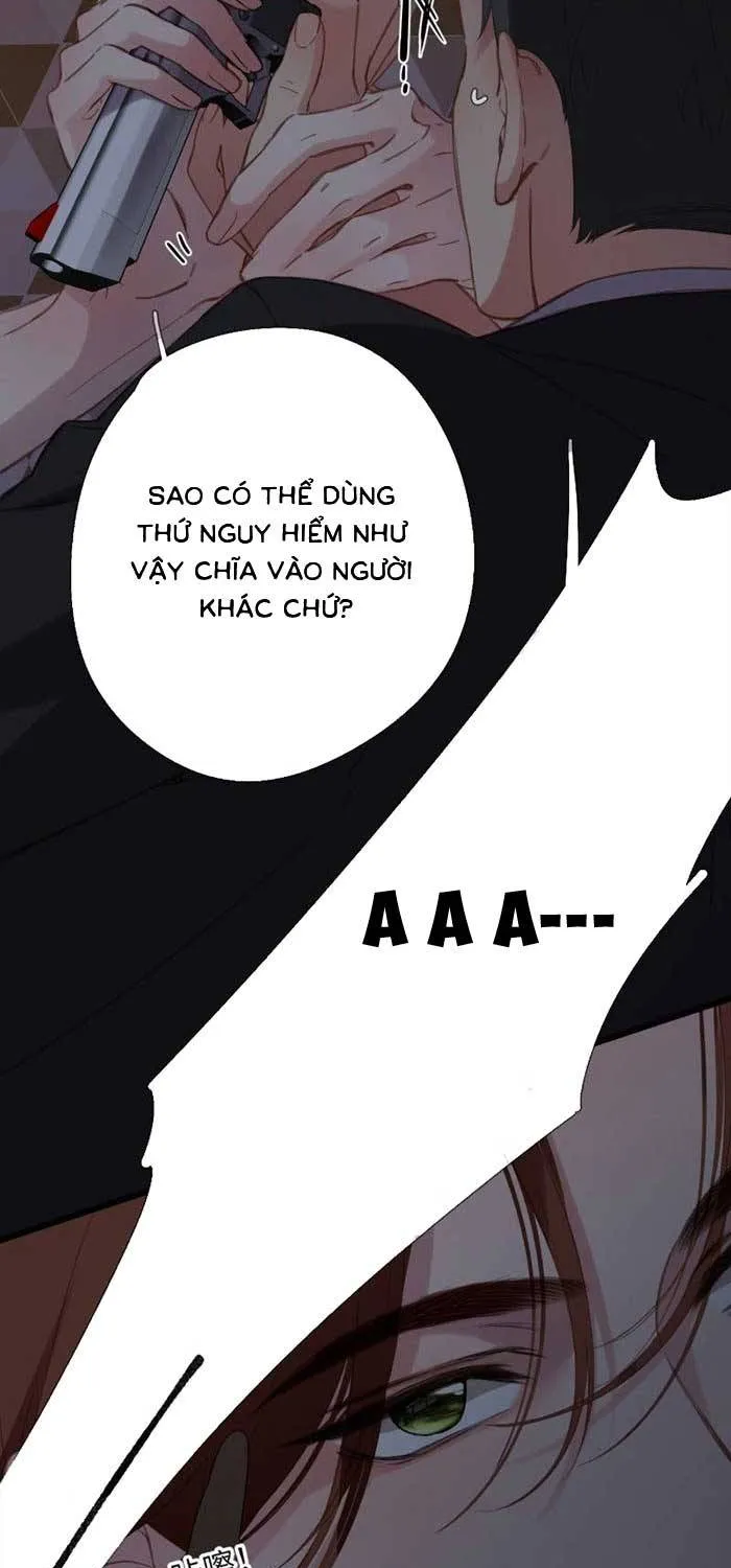 Tố Hồi Xuân Thời - Chap 77 - Trang 8