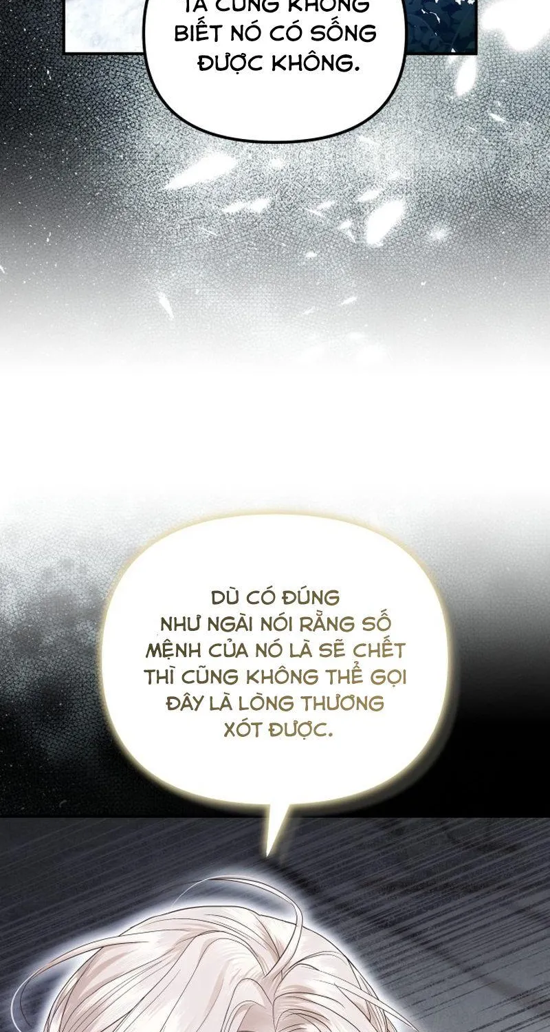 Chapter 19 - Trang 80