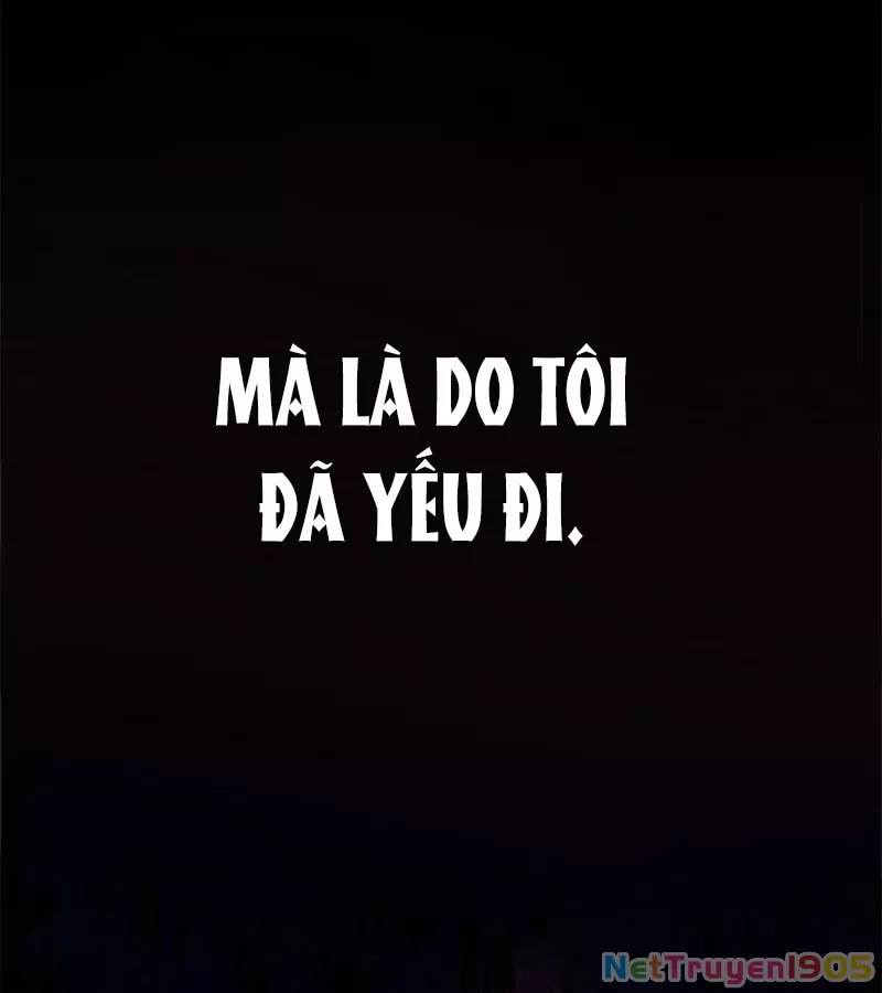 Trang 117
