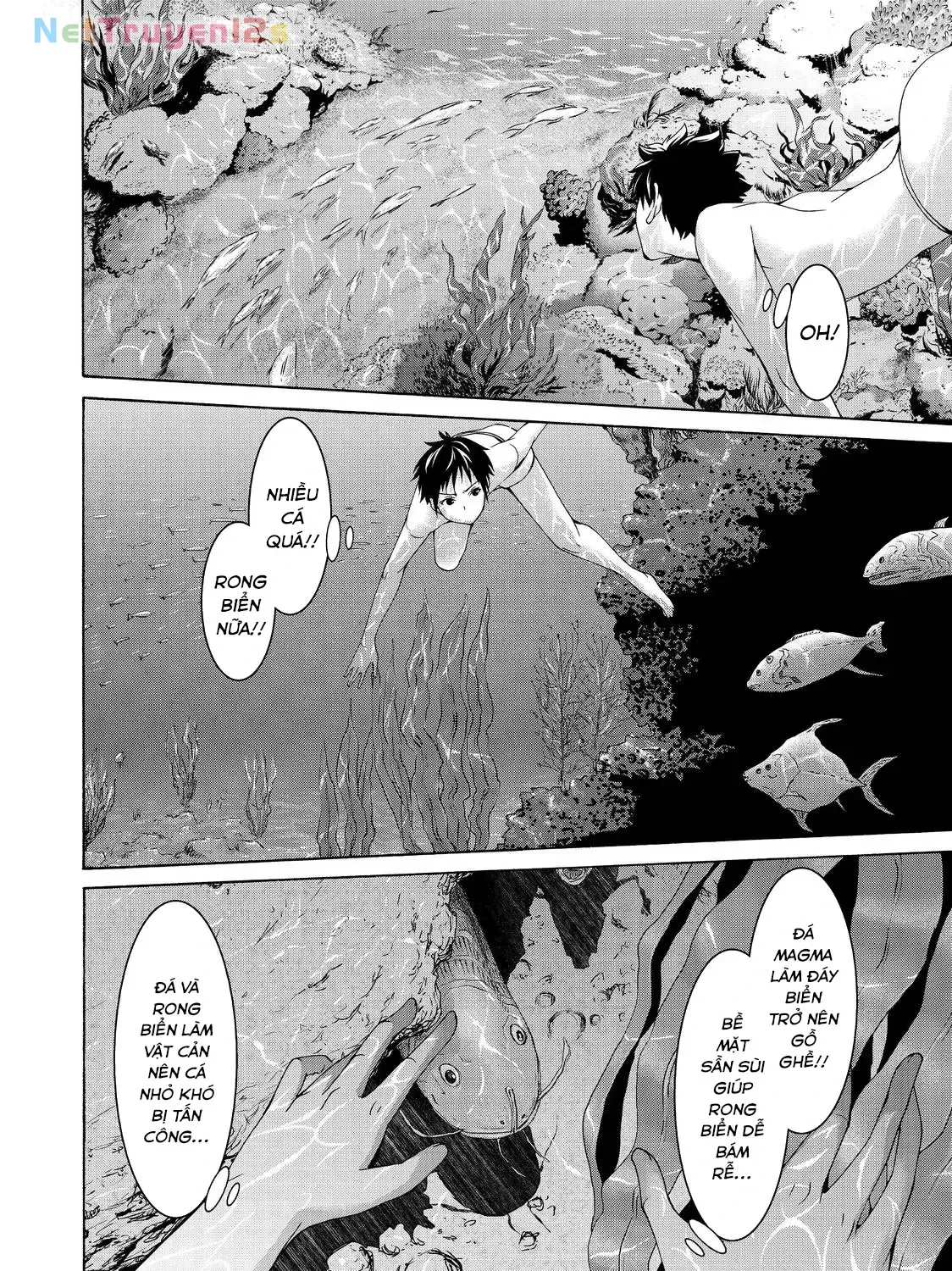 Chapter 14 - Trang 41