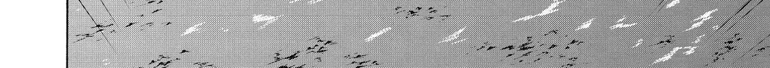 Chapter 24 - Trang 56