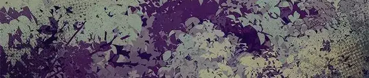 Chapter 114 - Trang 84