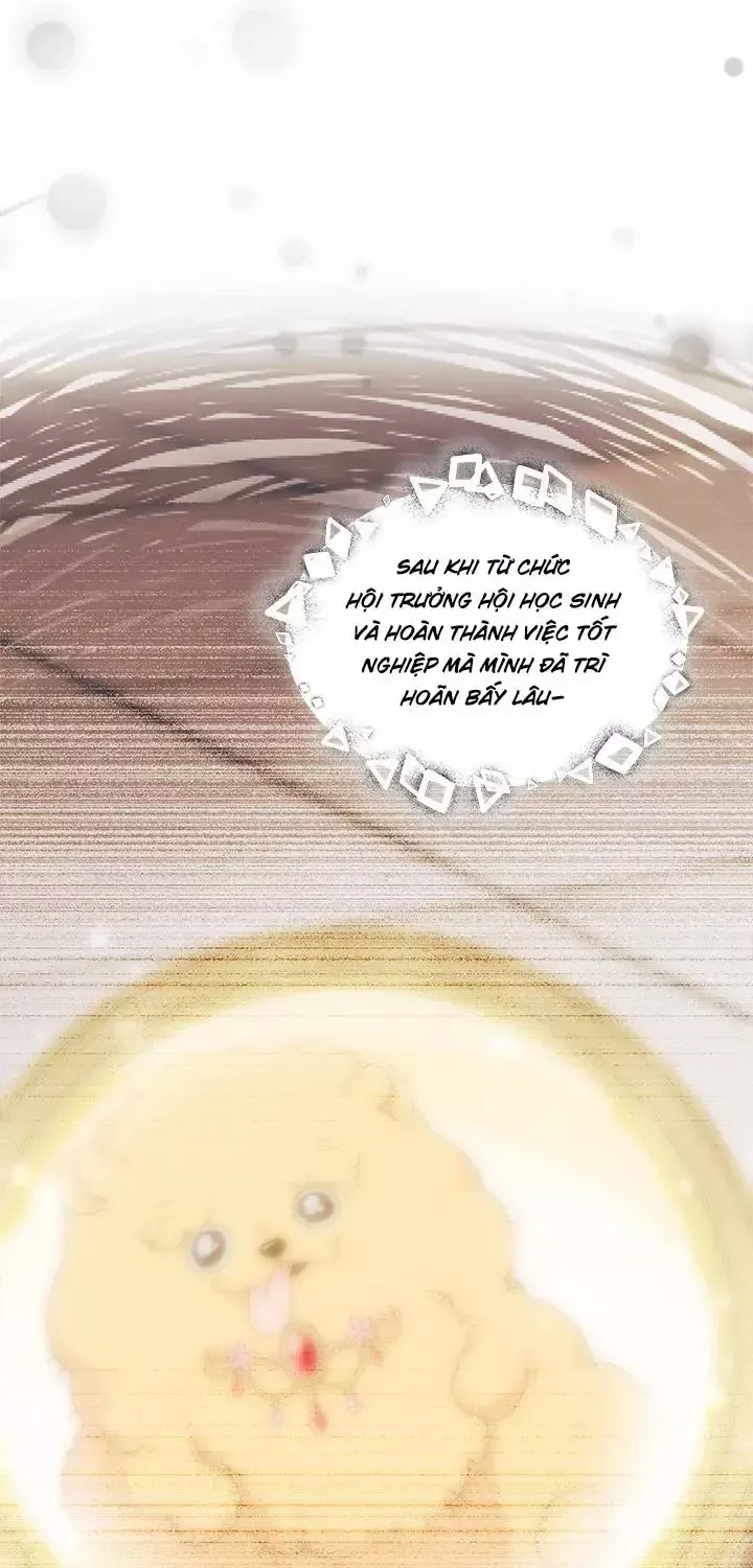 Chapter 117 - Trang 96