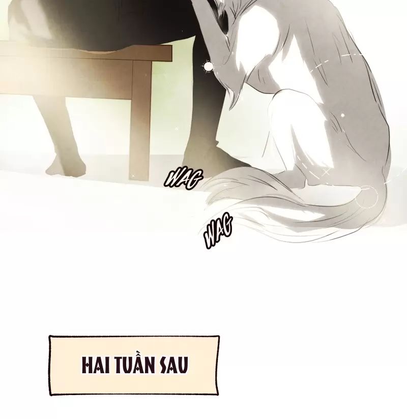 Chương 13 - Trang 45