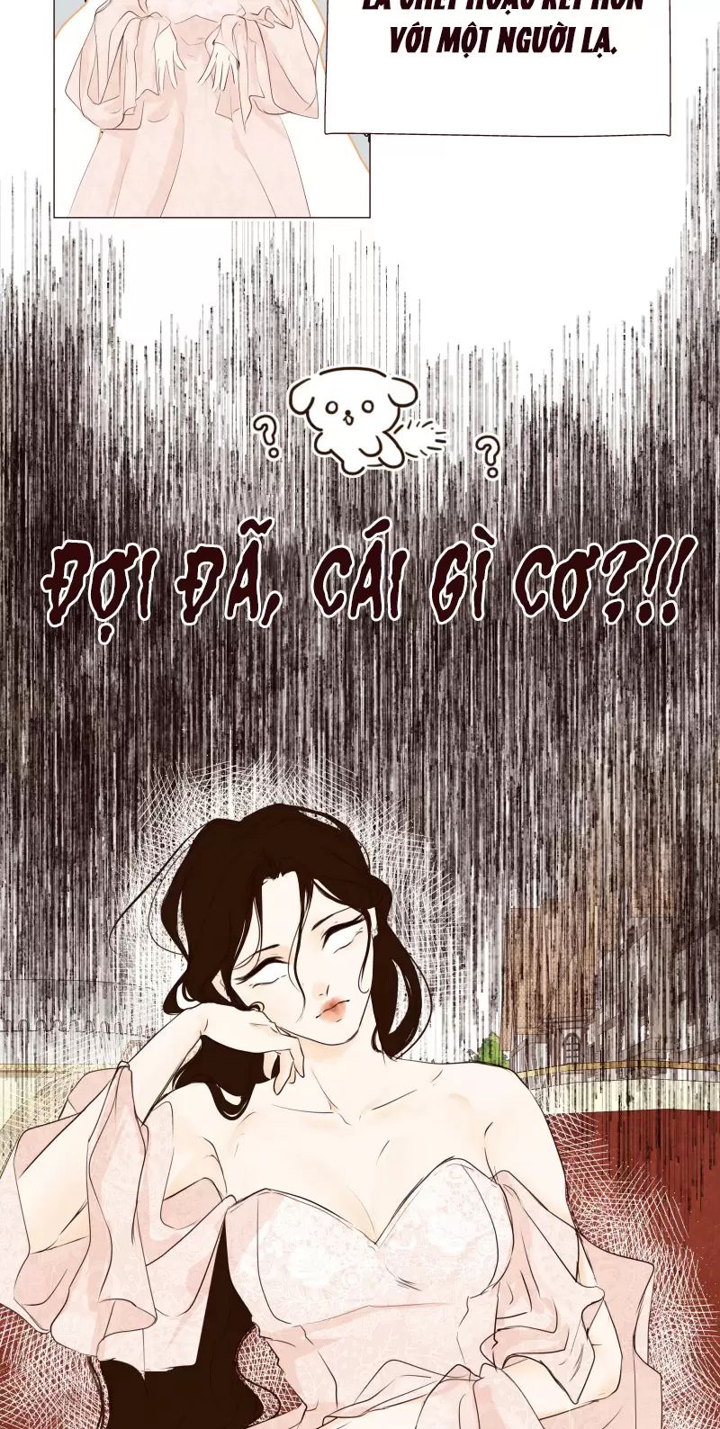 Chương 2 - Trang 17
