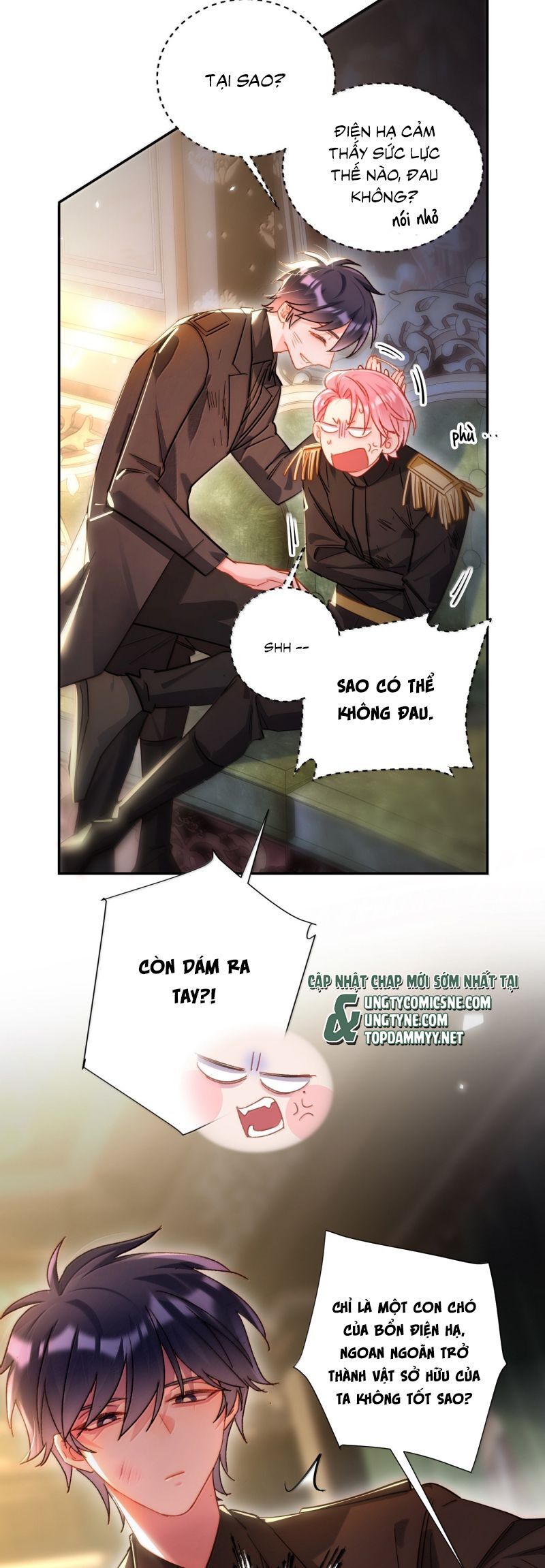Trang 15
