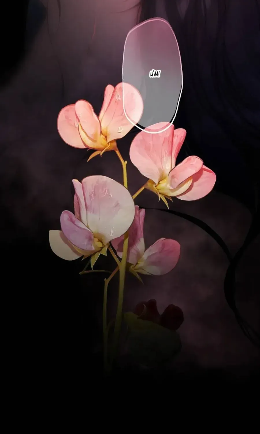 Trang 35