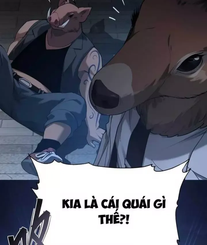 Chapter 2 - Trang 17