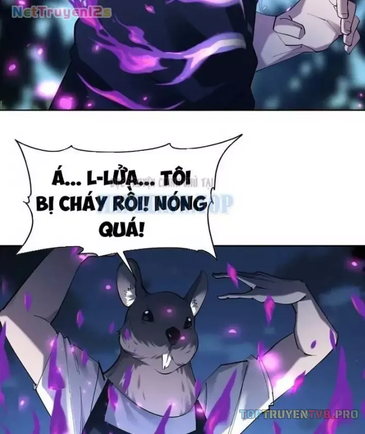 Chapter 2 - Trang 5