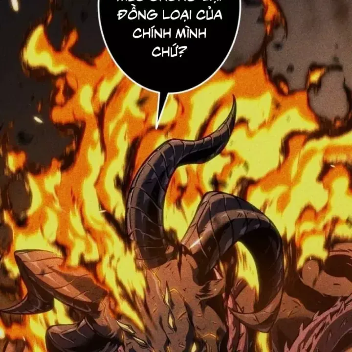 Chapter 61 - Trang 221