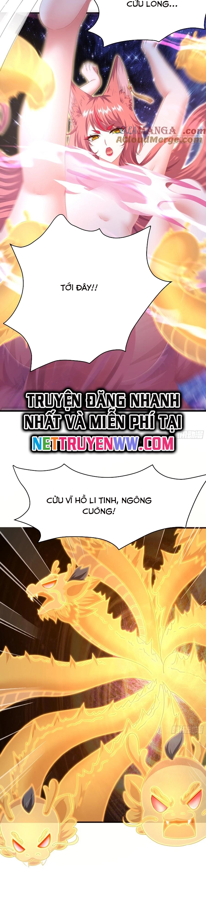 Trang 19