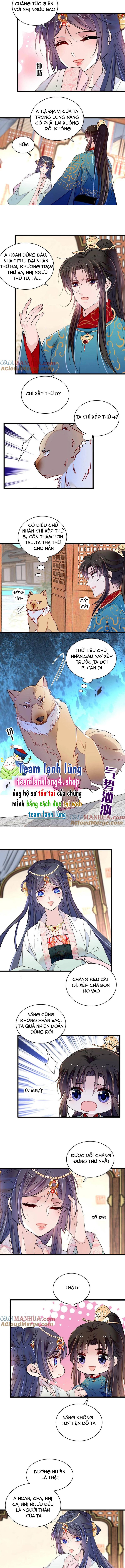 Chương 248 - Trang 5