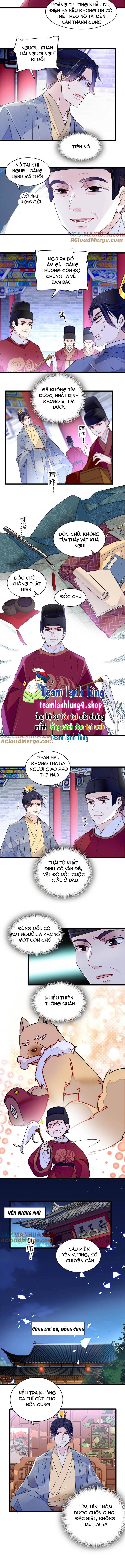 Chương 257 - Trang 3