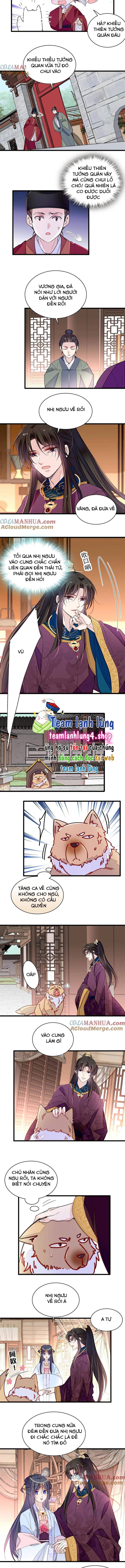 Chương 258 - Trang 4
