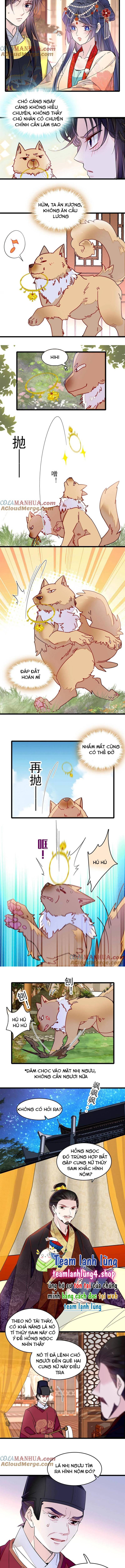 Chương 260 - Trang 3