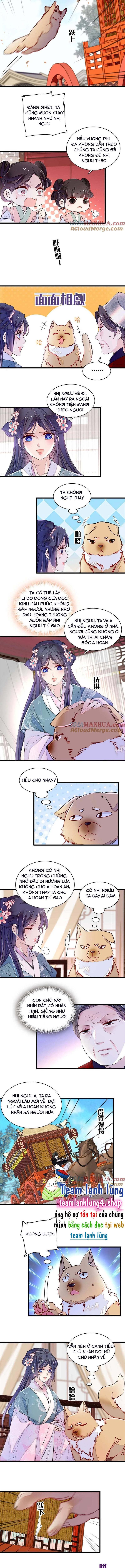 Chương 279 - Trang 3