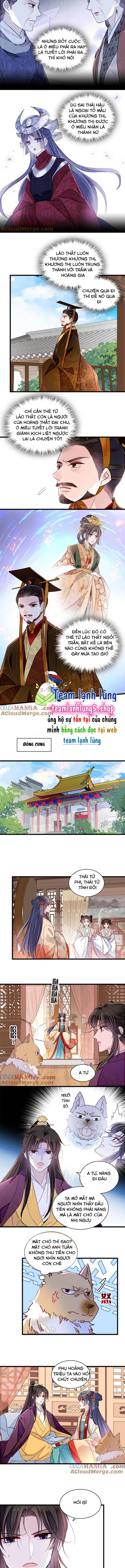 Chương 385 - Trang 4