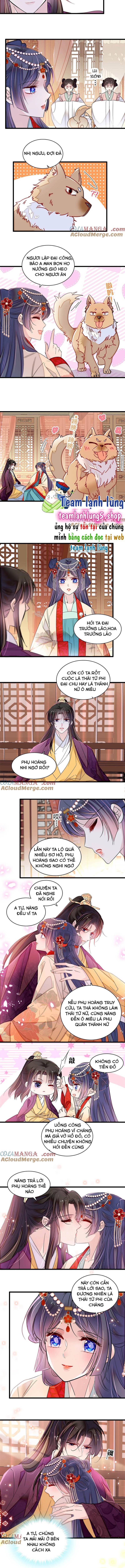 Chương 385 - Trang 5