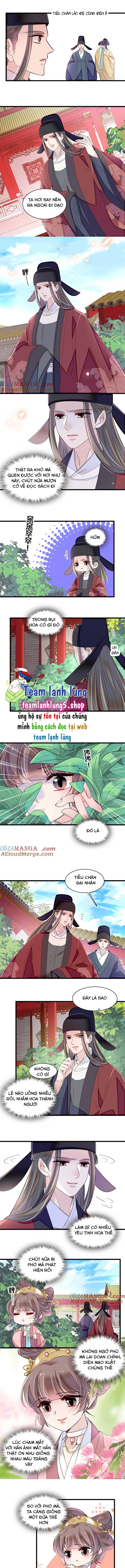 Chương 389 - Trang 4