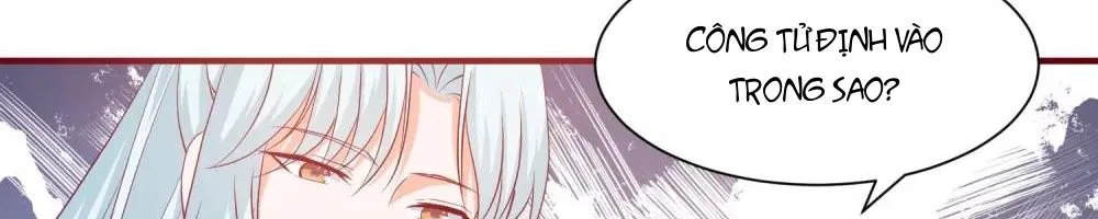 Tư Sủng Âm Dương Phi - Chap 65 - Trang 21