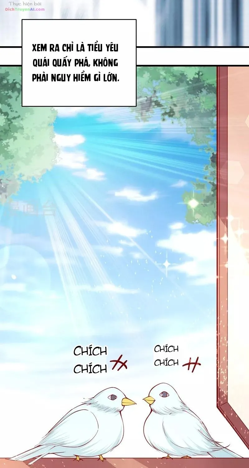 Tư Sủng Âm Dương Phi - Chap 67 - Trang 10