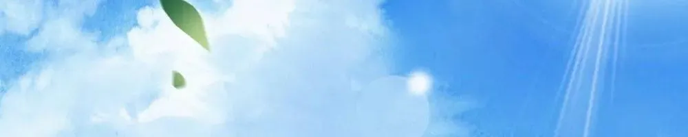 Tư Sủng Âm Dương Phi - Chap 69 - Trang 27